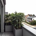 geel 1-